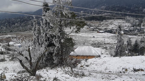 Tuyết rơi phủ trắng xóa cả bản làng, núi rừng vùng cao