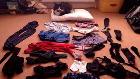 Trộm đồ vật gợi dục: Bệnh hoạn hay bệnh nhân?