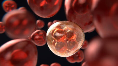 7 dấu hiệu của bệnh bạch cầu bạn không nên bỏ qua