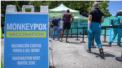 WHO dự định đổi tên bệnh đậu mùa khỉ để tránh vấn đề kỳ thị