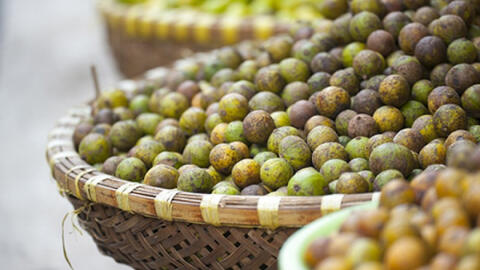 Hà Nội mùa này sấu chín chưa em...