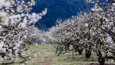 Những điểm đến lý tưởng cho chuyến du Xuân đầu năm mới