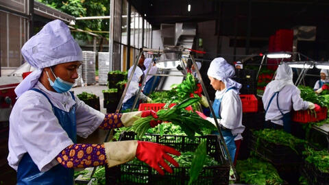 Những chính sách mới áp dụng cho toàn bộ lực lượng lao động xã hội từ năm 2021