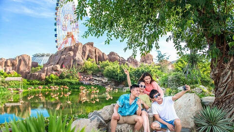 Khám phá 'mùa hoa Hà Lan' sớm nhất thế giới tại đảo nhiệt đới Hòn Tre