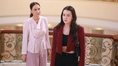 Giáp Tết, chị giúp việc lâu năm bỗng "chạy theo tình yêu", đẩy vợ chồng tôi vào cảnh lao đao