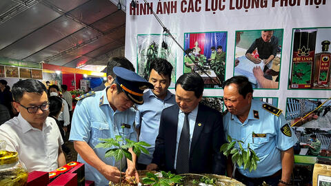 Gần 40 đơn vị tham gia phiên chợ sâm Ngọc Linh tại Kon Tum