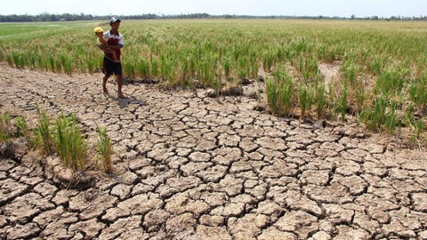 Thủ tướng yêu cầu các tỉnh, thành phố tập trung ứng phó với nắng nóng, hạn hán