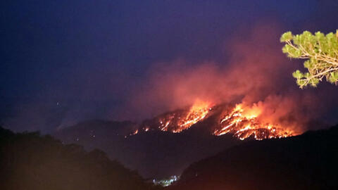 Hơn 10 ha rừng thông bị ảnh hưởng trong vụ cháy ở đèo Prenn, Đà Lạt