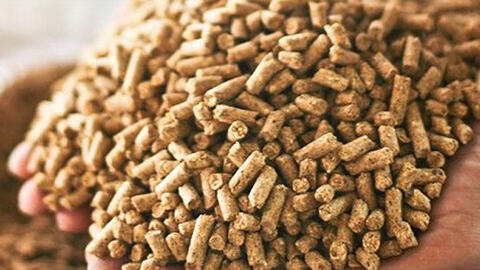 Việt Nam chi hơn 4 tỷ USD nhập khẩu thức ăn chăn nuôi