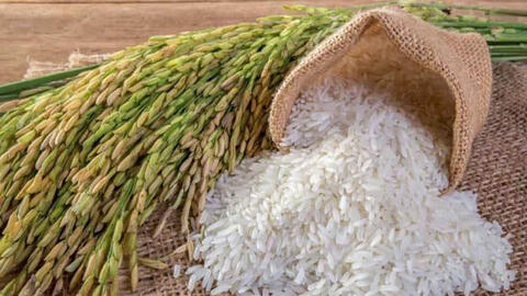 Mẹo tuyệt vời từ hạt gạo giúp bảo vệ đồ dùng hữu hiệu