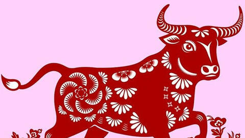 Gia chủ tuổi Tân Sửu 1961, nên chọn tuổi nào xông đất tốt nhất 2021?