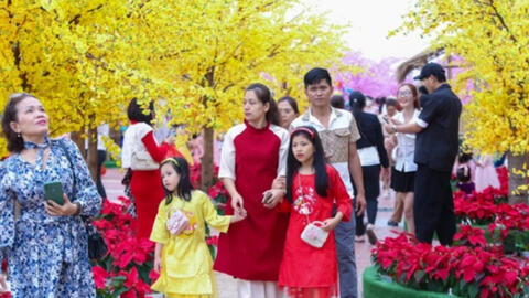 Ban Bí thư yêu cầu nhanh chóng đưa các hoạt động trở lại bình thường ngay sau nghỉ Tết