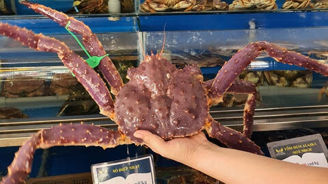 Cua hoàng đế giảm giá còn 780.000 đồng/kg liệu chất lượng ra sao?