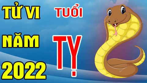 Tử vi năm 2022 tuổi Tỵ: Phải làm việc nhiều hơn mới đạt dược sự ổn định về tài chính