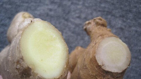 Cách phân biệt gừng ta và gừng Trung Quốc