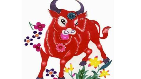 Tử vi tài chính chủ Nhật ngày 1/12 của 12 con giáp: Thân hỗn loạn, Tỵ nên thận trọng