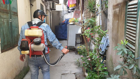 Hà Nội đã ghi nhận 137 trường hợp mắc sốt xuất huyết