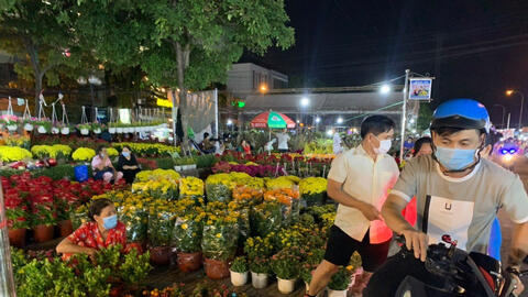 TP.HCM khuyến khích người dân tăng mua hoa Tết