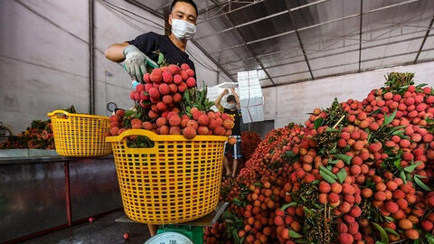 Giá bán vải thiều Bắc Giang tại TP.HCM lên tới 60.000 đồng/kg