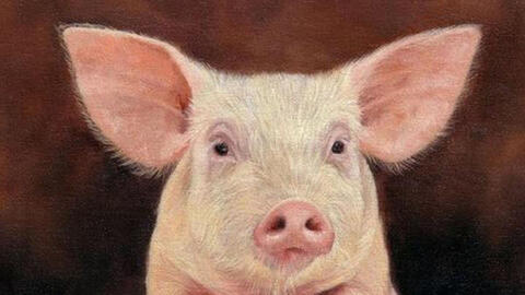 Xem tuổi xông đất 2022 cho gia chủ tuổi Ất Hợi 1995