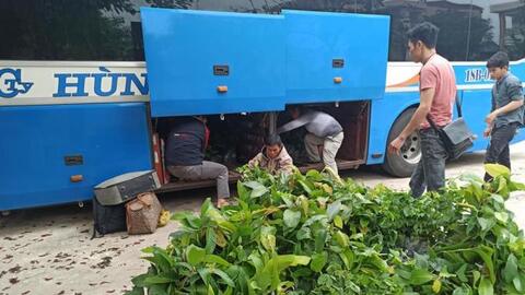 Nhóm Sách hóa nông thôn phát động dự án trồng cây, phổ biến tri thức bảo vệ môi trường