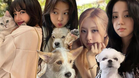 BLACKPINK chiều thú cưng đến mức nào: Cún nhà Jennie đi dạo phố bằng xe đẩy, cún của Rosé có túi xách hơn 3000 đô