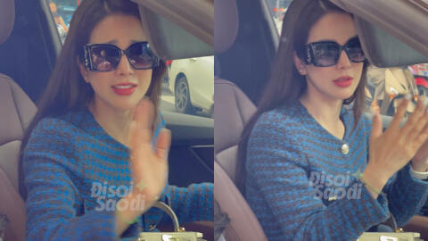 Phiên toà phúc thẩm ly hôn của Diệp Lâm Anh và chồng cũ tiếp tục bị hoãn, phía đại diện nói gì?