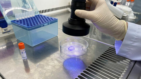 Tiêu chí dự án khoa học và công nghệ thuộc Chương trình công nghệ cao