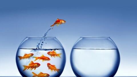 Cách để làm cho cuộc sống thành công và nhiều sắc màu hơn