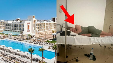 Vào khách sạn 5 sao ở mà gặp toàn mèo hoang và ruồi nhặng bay tứ tung, du khách bị tiêu chảy đến mức nhập viện, quyết kiện ra trò!