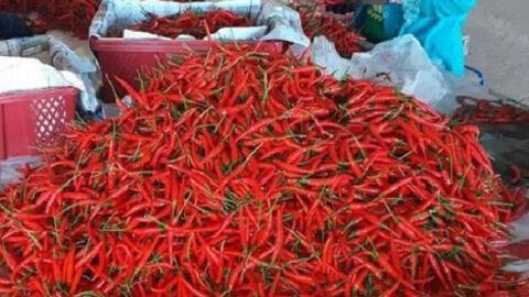 Trung Quốc cấm nhập khẩu ớt từ Việt Nam là thông tin giả mạo