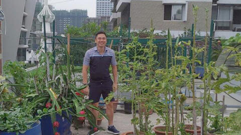 Kỹ sư người Việt chia sẻ về 100 ngày chống chọi Covid-19