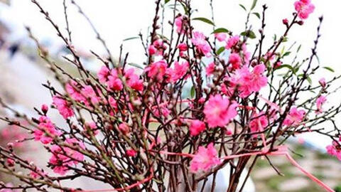 Lịch nghỉ Tết Nguyên đán 2021 chính thức với người lao động