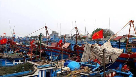 3 ngư dân Quảng Ngãi bị tử vong trên biển