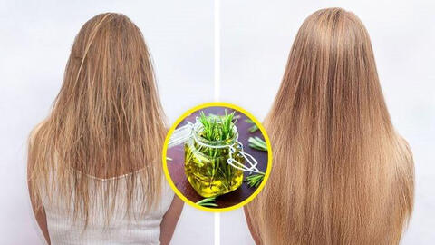 8 biện pháp tự nhiên giúp kích thích mọc và làm dày mái tóc của bạn