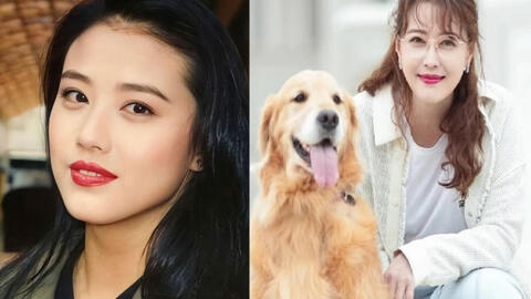 Tro cốt Châu Hải My được đưa về Hong Kong, gia đình hoàn thành tâm nguyện cuối cùng của nữ diễn viên