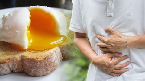 Vi khuẩn Salmonella trong mẫu bánh mì Phượng khiến hơn 140 người bị ngộ độc sinh sôi và lây nhiễm qua con đường nào?