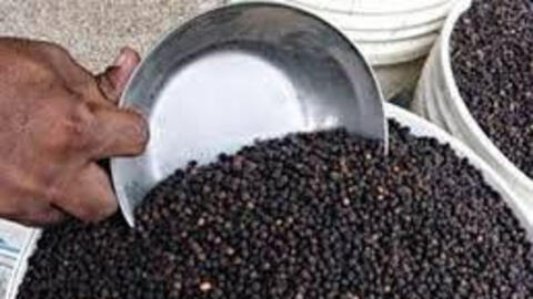 Xuất khẩu hồ tiêu tăng mạnh về giá trị