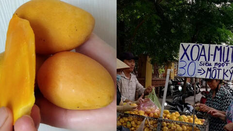 Xoài Trung Quốc đổ bộ chợ TP HCM với giá rẻ