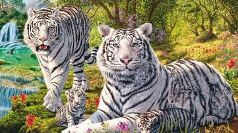 Tuổi Nhâm Dần 1962 xuất hành Tết 2022 vào giờ nào, hướng nào tốt nhất?