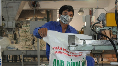 Một cổ phiếu phân bón tăng 74% trong tuần qua