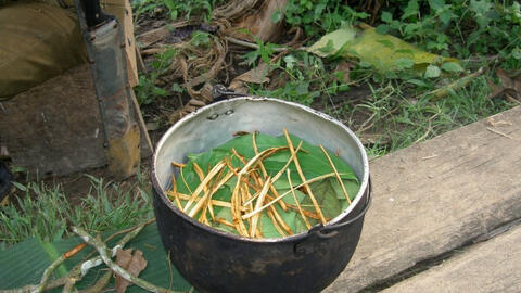 Nghi thức thiêng liêng của thổ dân Amazon giúp che chở 4 đứa trẻ lạc trong rừng