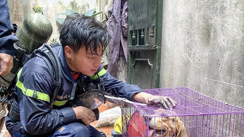 Bức ảnh chiến sĩ cứu hỏa Đỗ Đức Việt bên chú chó gây xúc động