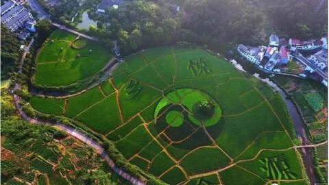 Bí ẩn ngôi làng do Lưu Bá Ôn thiết kế: Lấp ao thì nhà sập, nước giếng 'đoán' thời tiết
