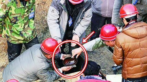 Thợ điện vào mộ cổ trộm con cá khô, chuyên gia vừa nhìn đã hét lên: “Đây mới là bảo vật"