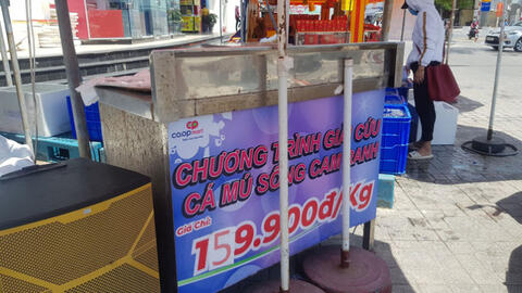 Hơn 1.000 tấn cá mú tại Khánh Hòa thiếu đầu ra, giảm giá một nửa vẫn tiêu thụ chậm