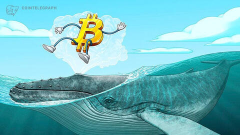 Chuyên gia nhận định Bitcoin đang ngày càng 'trưởng thành' và ổn định hơn