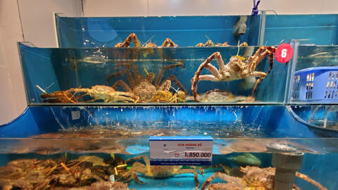 Cua Hoàng đế ở Hà Nội rớt giá mạnh vì dịch COVID-19