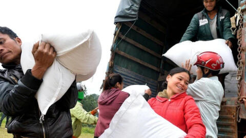 Xuất cấp gạo từ nguồn dự trữ quốc gia cho các địa phương dịp Tết Giáp Thìn 2024