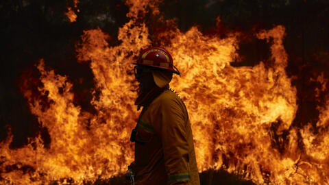 Thảm họa cháy rừng ở Úc: Trái đất đang dần trở thành hành tinh khó sinh tồn?
